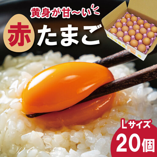 新鮮たまご 赤玉 Lサイズ 20個 中村養鶏場 E2091