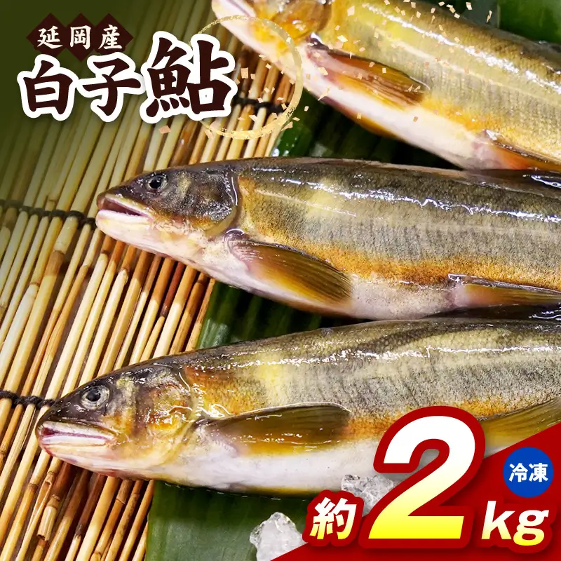 【冷凍】白子鮎約2kg N070-YB358-2