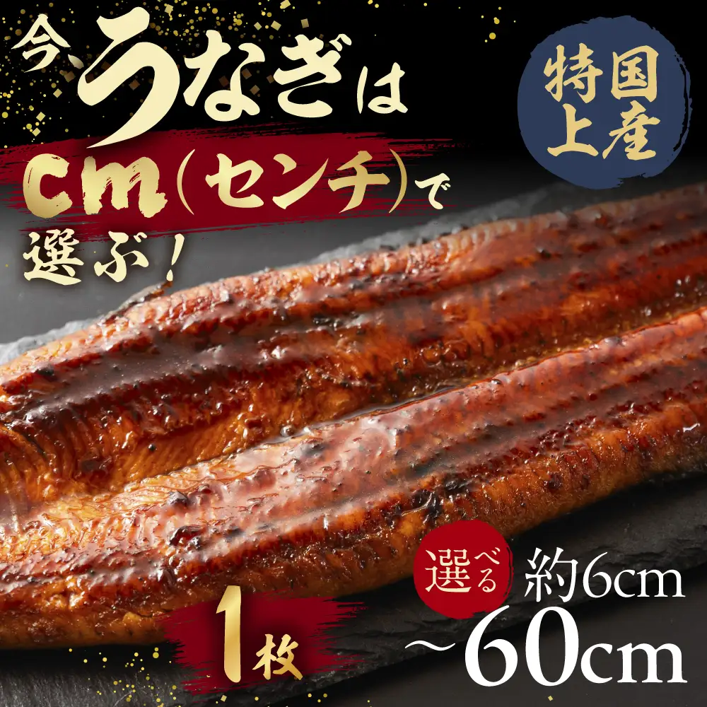 【うなぎ蒲焼　6cm（1枚）】今、うなぎはセンチで選ぶ！ 長さ選べる 国産 うなぎ蒲焼 カット鰻 うなぎ ウナギ unagi カット済 うな重 冷凍 うな丼 ストック 蒲焼 タレ付 選べる 簡単 簡単調理 訳あり 規格外 人気 三河  愛知県 豊橋市