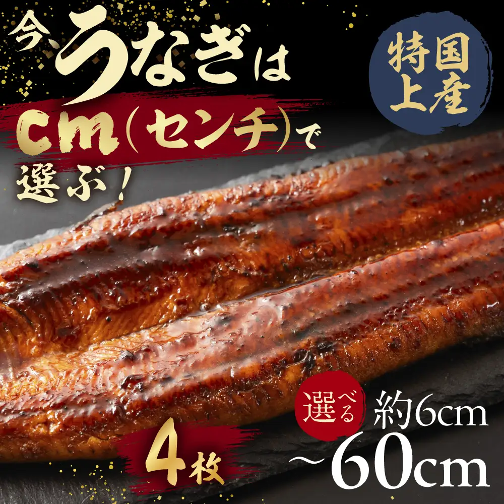 【うなぎ蒲焼　24cm（6cm×4枚）】今、うなぎはセンチで選ぶ！ 長さ選べる 国産 うなぎ蒲焼 カット鰻 うなぎ ウナギ unagi カット済 うな重 冷凍 うな丼 ストック 蒲焼 タレ付 選べる 簡単 簡単調理 訳あり 規格外 人気 三河  愛知県 豊橋市
