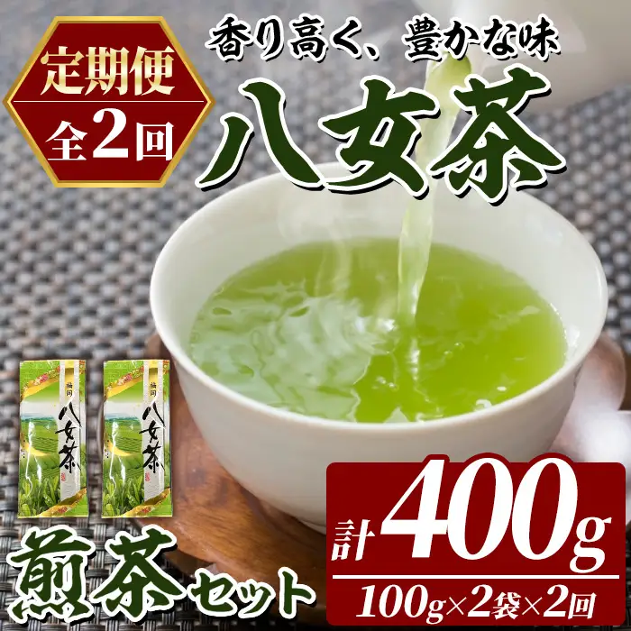 ≪定期便・全2回≫八女茶 煎茶 セット (100g×2袋×毎月連続2回) 茶 お茶 八女茶 煎茶 パック 福岡県産 定期便 頒布会 【木村食品】as46-061