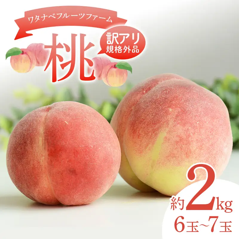 【訳アリ規格外品】ワタナベフルーツファームの桃 約2kg （6～7玉） もも モモ フルーツ 果物  F6Q-520