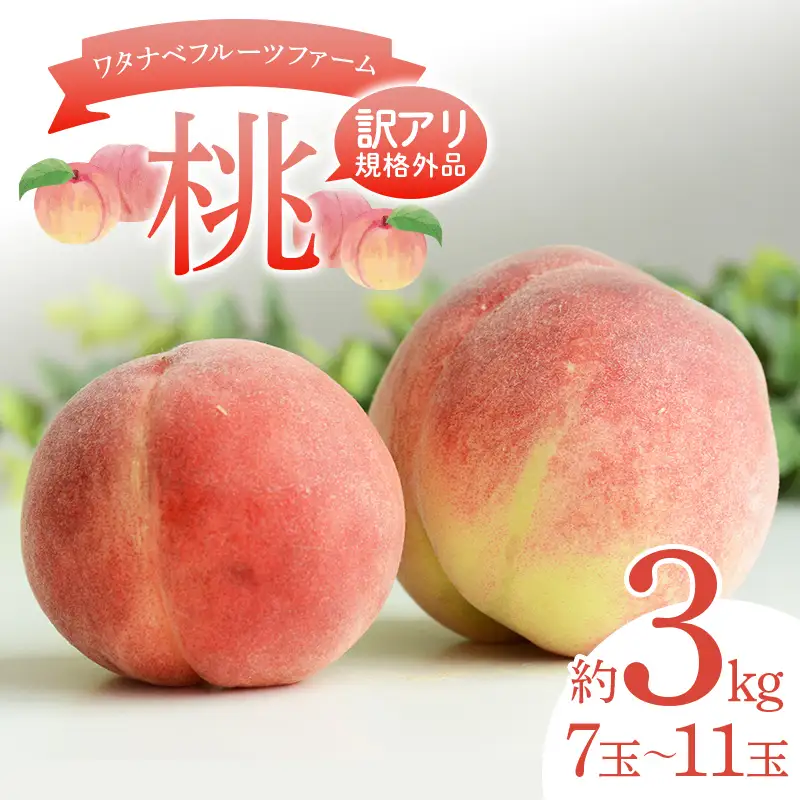 【訳アリ規格外品】ワタナベフルーツファームの桃 約3kg （7～11玉） もも モモ フルーツ 果物  F6Q-521