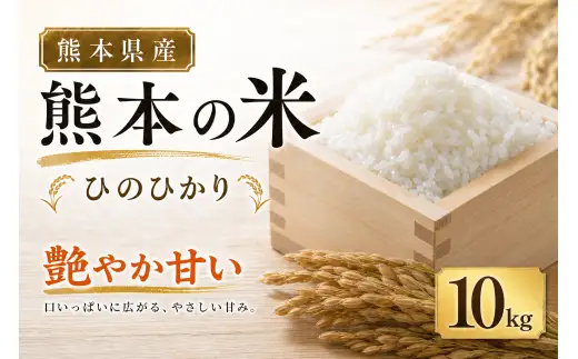 【 令和7年産 】 米 ひのひかり 10kg （ 5kg × 2袋 ） お米 米 こめ コメ 白米 白飯 飯 ご飯 ブランド米 ブランド 国産 熊本県産 甘み 旨み 食感 食卓