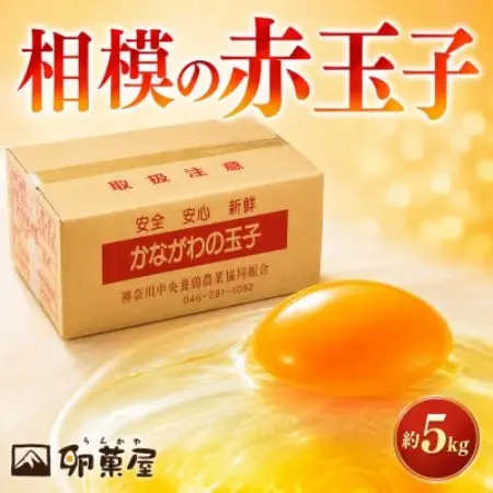 相模の赤玉子約5kg　75個+割れ保証5個　～ 神奈川県 愛川町 ～【配送不可地域：離島】【1745588】