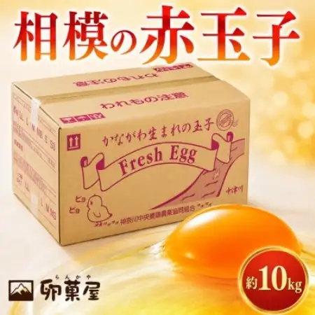 相模の赤玉子約10kg　140個+割れ保証10個前後【配送不可地域：離島】【1745589】