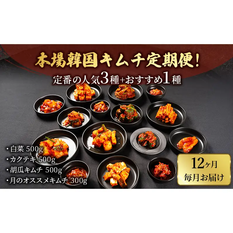 本場韓国キムチ定期便！ 12ヵ月 定番の人気3種+おすすめ1種 キムチ おつまみ 韓国食材 韓国料理 静岡県 袋井市
