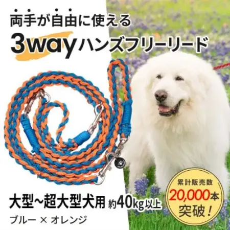 【犬用】3WAYハンズフリーリード(大型～超大型犬用)ブルー×オレンジ【ゴールデンママ】【配送不可地域：離島・沖縄県】【1743334】