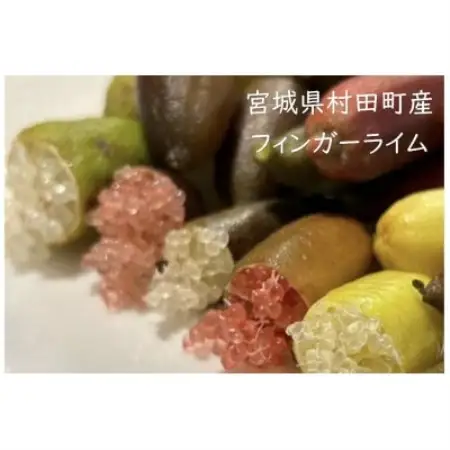【宮城県村田町産】フィンガーライムMIX　100g×1パック【配送不可地域：離島】【1747195】