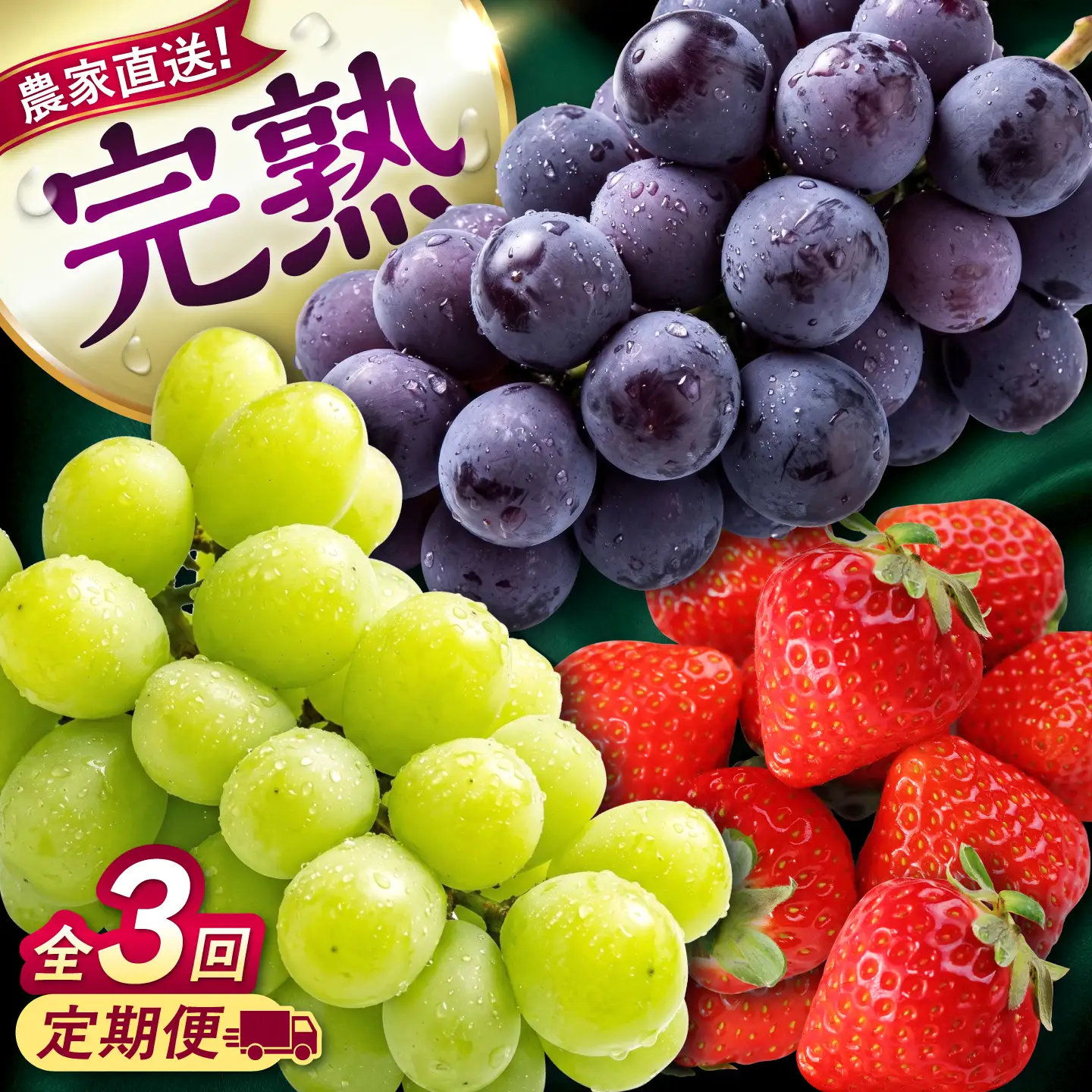 【先行予約】【2026年8月下旬発送開始】【全3回定期便】果物定期便 ピオーネ(約1kg)＆シャインマスカット(約1kg)＆いちご(約500g) 計約2.5kg 食べ比べ / 旬の時期にお届け ぶどう ブドウ 苺 ストロベリー フルーツ 果物 くだもの 青果【有限会社 高司農園】[AYDP005]