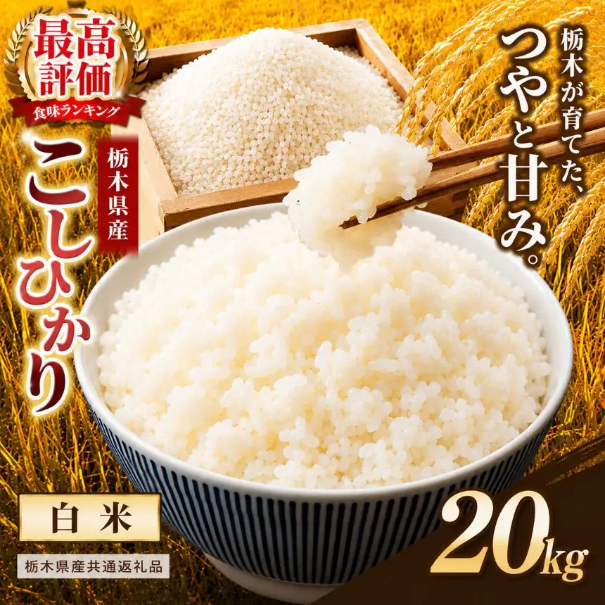 【栃木県共通返礼品】栃木県産コシヒカリ 白米 20kg