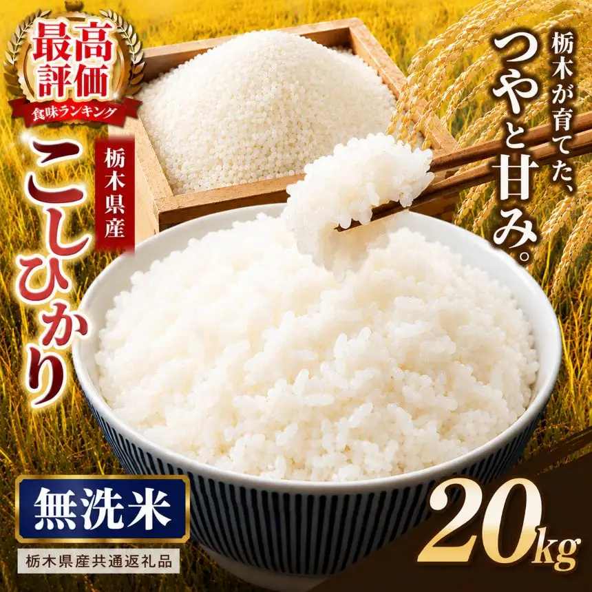【栃木県共通返礼品】栃木県産コシヒカリ 無洗米 20kg