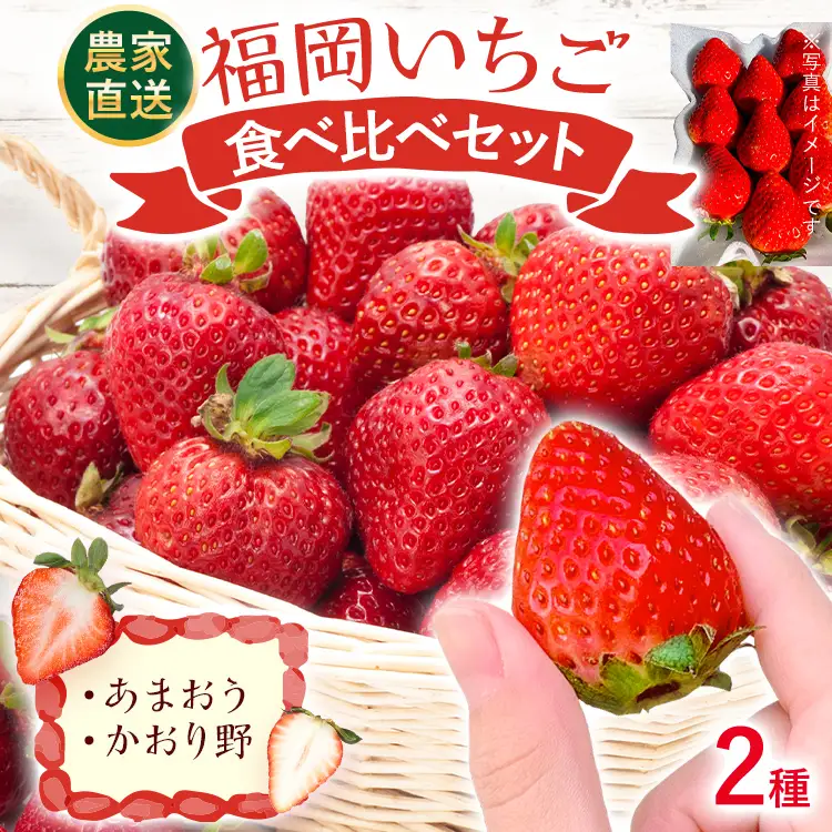 いちご   福岡いちご2種食べ比べセット あまおう かおり野  【2027年2月より順次発送】 いちご  