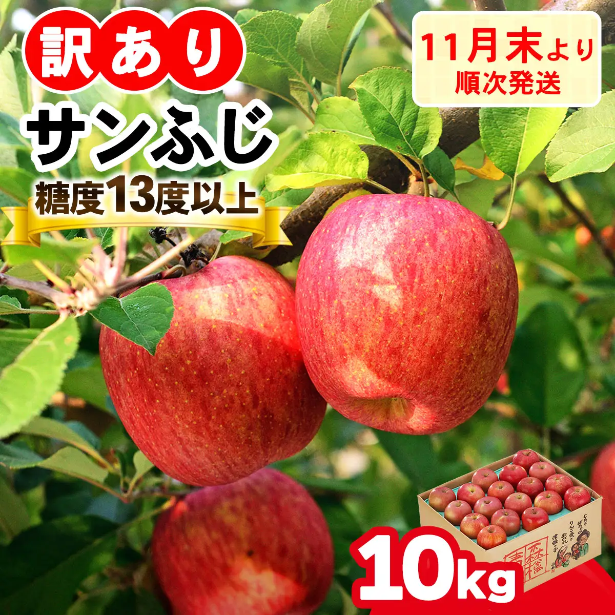 [訳あり] りんご サンふじ 10kg (28玉から40玉入り 10kg 1箱) 見た目にわけあり 味はそのまま [1012]