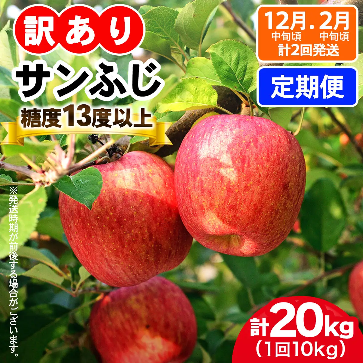 [訳あり] [定期便／12月中旬頃＆2月中旬頃の計2回発送]  りんご サンふじ 10kg (28玉から40玉入り／計2回・合計20kg) 見た目にわけあり 味はそのまま [1016]