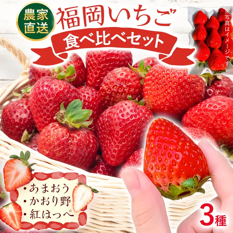 いちご   福岡いちご3種食べ比べセット あまおう かおり野 紅ほっぺ 【2027年2月より順次発送】 いちご  