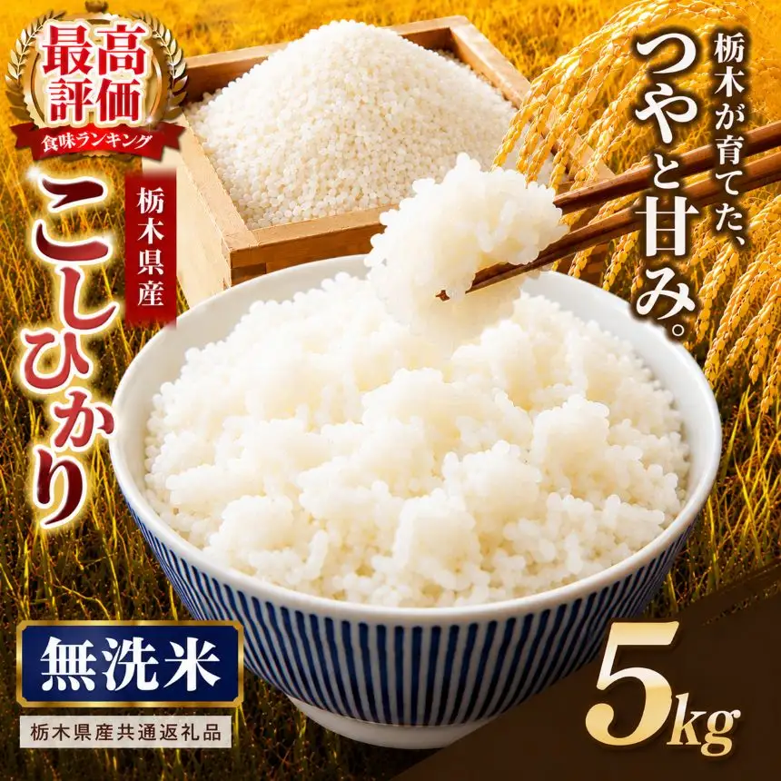 【栃木県共通返礼品】栃木県産コシヒカリ 無洗米 5kg