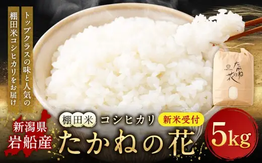 【新米受付・令和8年産米】新潟県村上市岩船産　棚田米コシヒカリ「たかねの花」5kg　1104001N