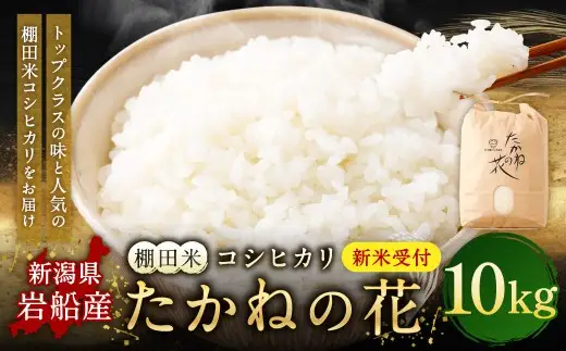 【新米受付・令和8年産米】新潟県村上市岩船産　棚田米コシヒカリ「たかねの花」10kg　1104002N