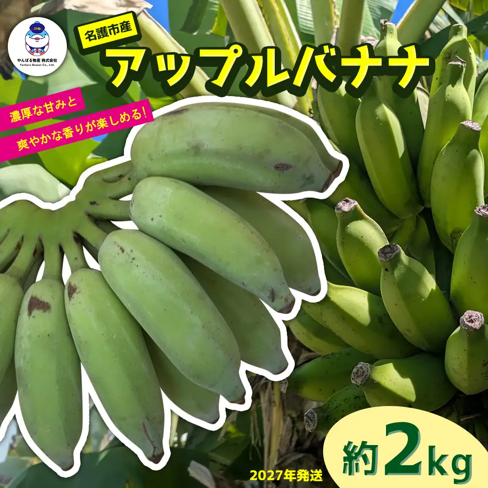 道の駅「許田」が厳選した南国フルーツ アップルバナナ 約2kg 2027年発送 バナナ 2kg やんばる 南国フルーツ トロピカル 国産 グルメ 濃厚 もっちり 完熟 新鮮 産地直送 お取り寄せ 道の駅 許田 特産品 旬のフルーツ 朝食 ギフト