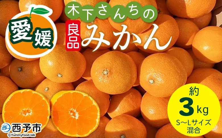 ＜木下さんちのみかん 良品 約3kg（S～Lサイズ混合）＞『2026年11月中旬～12月下旬に順次出荷予定』 柑橘類 温州みかん うんしゅうみかん みかん ミカン 蜜柑 果物 くだもの フルーツ 特産品 木下農園 西宇和 愛媛県 西予市【常温】MKS0014