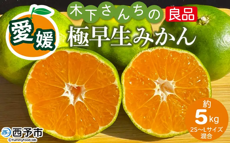 ＜木下さんちの極早生みかん 良品 約5kg（2S～Lサイズ混合）＞『2026年10月に順次出荷予定』柑橘類 ごくわせ 早生ミカン 蜜柑 果物 くだもの フルーツ 甘酸っぱい あまずっぱい 国産 キロ 特産品 木下農園 西宇和 愛媛県 西予市【常温】MKS0017