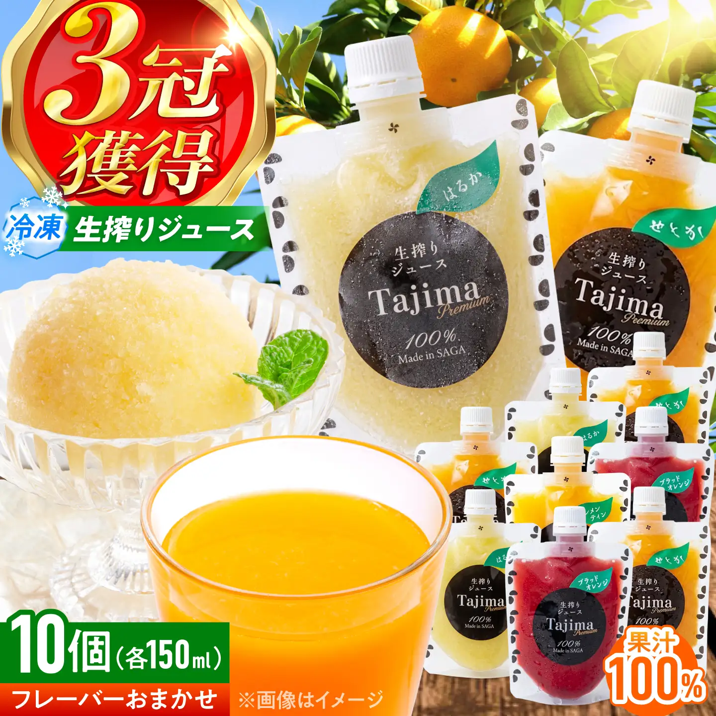 冷凍ジュース10種飲み比べ / みかん いちご 苺 ジュース 果汁100% / 佐賀県 / 合同会社田島柑橘園＆加工所[41ATAD001]