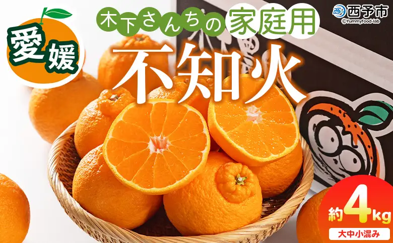 ＜木下さんちの不知火 家庭用 約4kg（大中小混み）＞『2027年3月に順次出荷予定』柑橘 しらぬい でこぽん デコポン ご自宅 みかん ミカン 蜜柑 果物 くだもの フルーツ 果実 特産品 木下農園 西宇和 愛媛県 西予市【常温】MKS0019