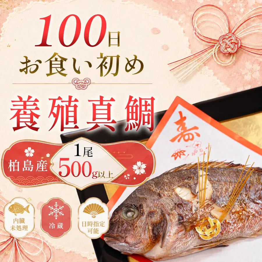 お食い初め 真鯛 1尾 500g以上 尾頭付き 鯛 のみ 1匹 真空パック 祝い鯛 百日祝い 100日祝い 鯛の塩焼き お食初め 自宅 お食い初め料理 初節句 100日お祝い膳 節句 記念撮影 赤ちゃん ベビー  魚 高知県 柏島産 大月町