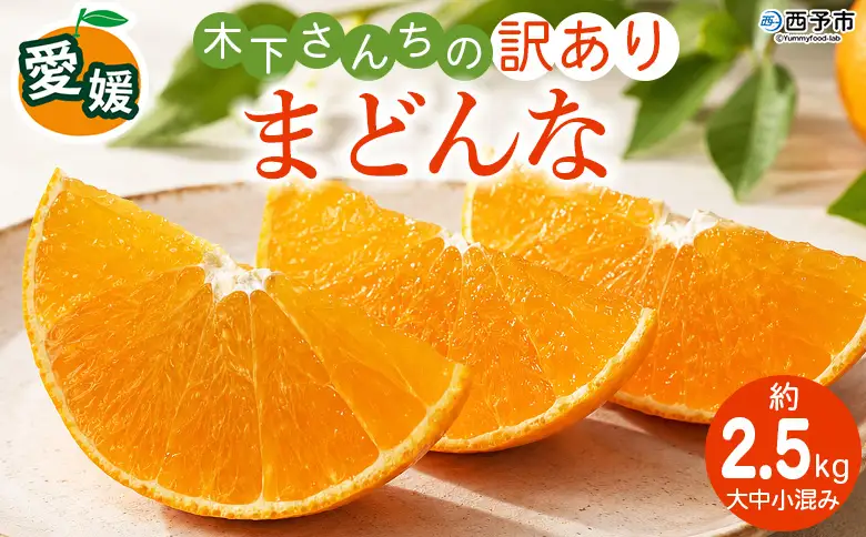 紅まどんなと同品種！＜木下さんちのまどんな 訳あり 約2.5kg＞『2026年12月に順次出荷』愛媛果試第28号 柑橘類 みかん ミカン 果物 くだもの フルーツ 不揃い 自宅用 愛媛果試第28号 特産品 産地直送 マドンナ 木下農園 西宇和 愛媛県 西予市【常温】MKS0021
