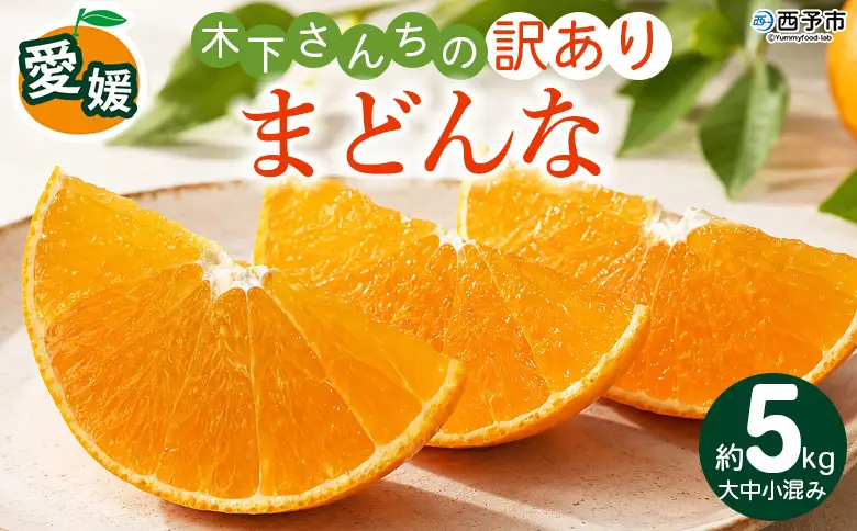 紅まどんなと同品種！＜木下さんちのまどんな 訳あり 約5kg＞『2026年12月に順次出荷』愛媛果試第28号 柑橘類 みかん ミカン 果物 くだもの フルーツ 不揃い 自宅用 愛媛果試第28号 特産品 産地直送 マドンナ 木下農園 西宇和 愛媛県 西予市【常温】MKS0022
