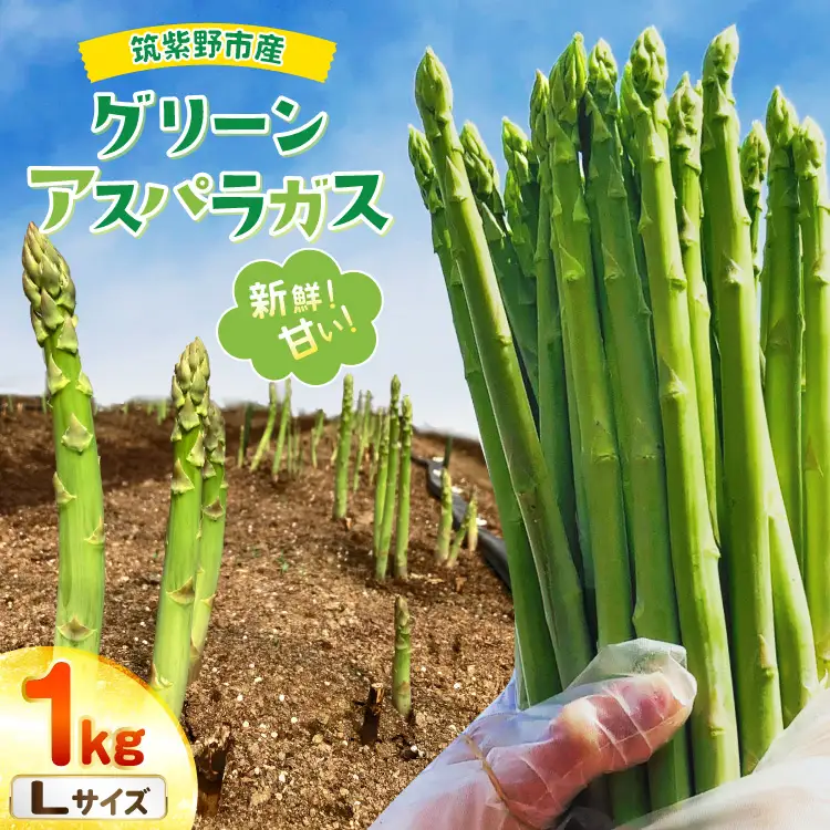 【期間限定発送】 アスパラ グリーンアスパラガス L 1kg