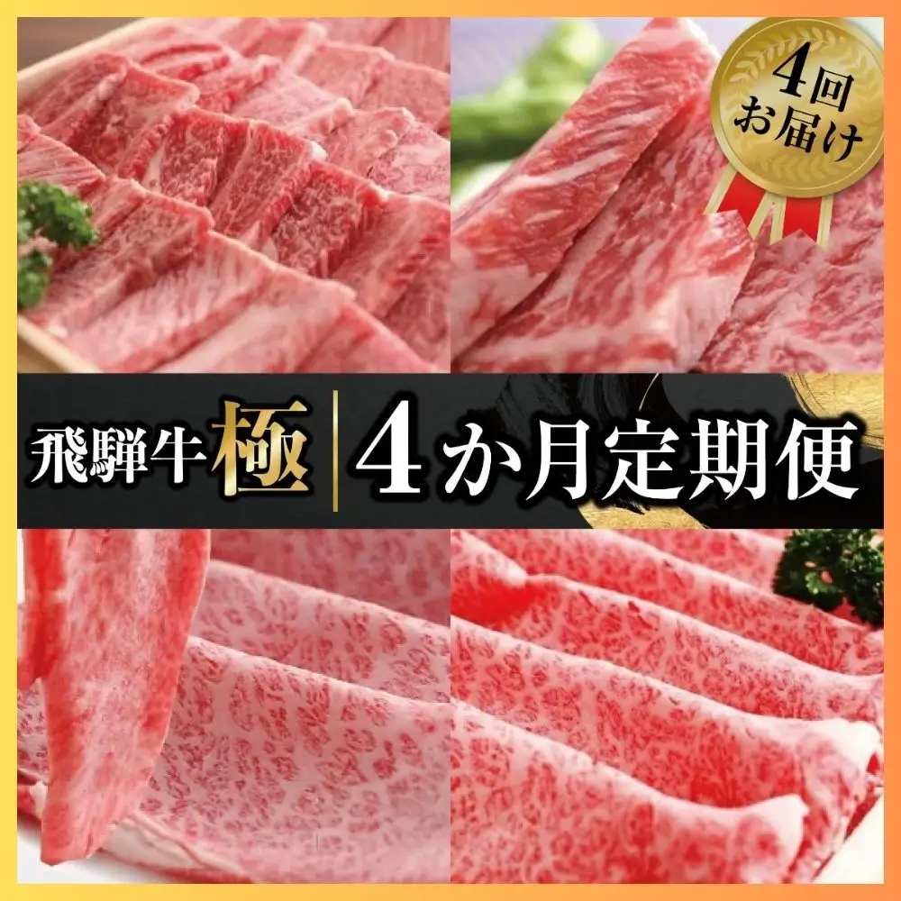 定期便 飛騨牛 "極" 全4回 肉 定期便