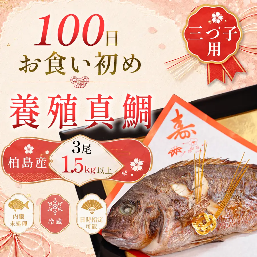 お食い初め 真鯛 3尾 三つ子 1.5kg以上 尾頭付き 鯛 のみ 3匹 真空パック 祝い鯛 百日祝い 100日祝い 鯛の塩焼き お食初め 自宅 お食い初め料理 初節句 100日お祝い膳 祝い善 節句 記念撮影 赤ちゃん ベビー  魚 高知県 柏島産 大月町