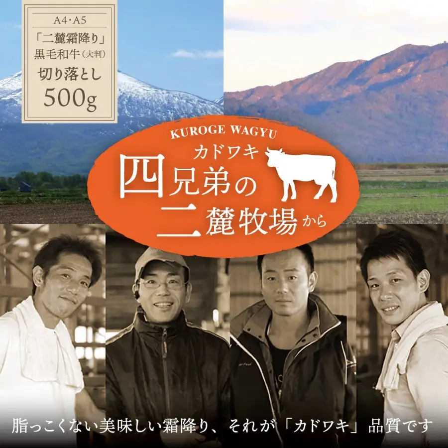 A4･A5「二麓（にろく）霜降り」黒毛和牛（大判）切り落とし 500g（250g×2）ニセコ連峰と鈴鹿山脈、二つの麓（ふもと）で育てた脂の質にこだわった美味しい霜降りをリーズナブルに│牛肉 国産牛 ブランド牛 冷凍便 年末年始 お正月 焼肉 しゃぶしゃぶ すき焼き 三重県 四日市市 ふるさと納税