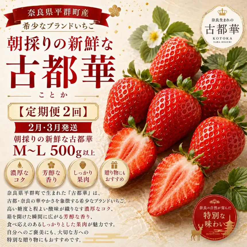 AO05 【定期便２回】２月・３月発送・朝採りの新鮮な古都華M～L 500ｇ以上 いちごいちえ | 果物 くだもの フルーツ 苺 イチゴ いちご ストロベリー 古都華 ことか 希少 濃厚コク 芳醇 果肉 しっとり 旬の品種 奈良県 平群町