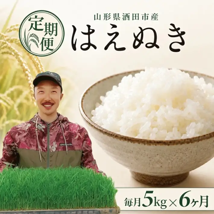SF0375　【令和8年産 新米予約】≪6回定期便≫ 【精米】はえぬき　5kg×6回(計30kg)　「農家直送」 IN