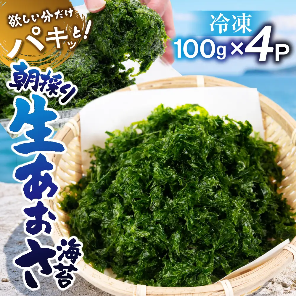 朝採り！冷凍 生あおさ のり 400g のり