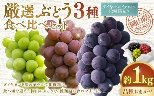 岡山県産 厳選ぶどう3種 食べ比べ セット 約1kg （ ダイヤモンドデザイン化粧箱入り ） ブドウ フルーツ 果物 くだもの 果実 おやつ デザート スイーツ 詰合せ 詰め合わせ 化粧箱 ギフト 贈答 プレゼント 【 2026年9月上旬～10月下旬迄発送予定 】