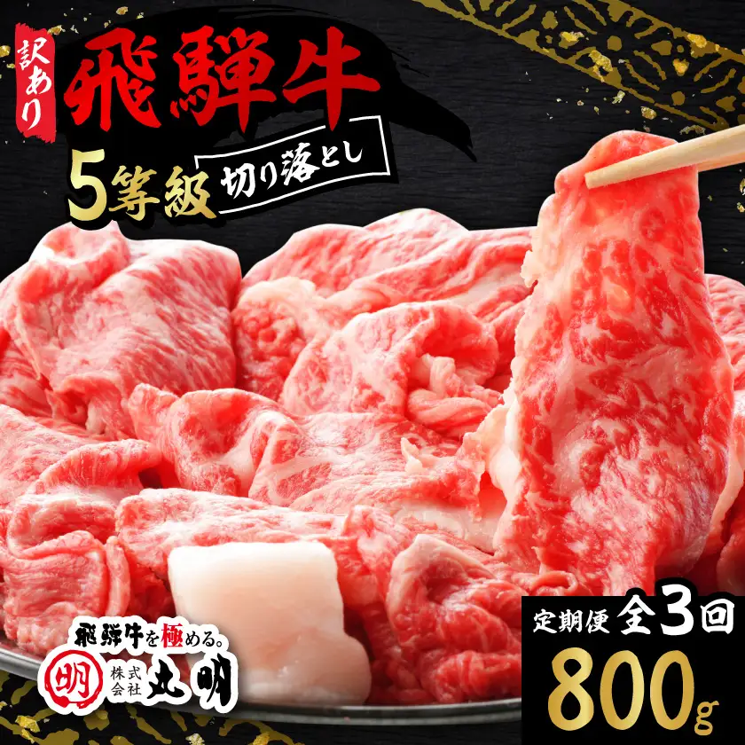 【毎月定期便】【訳あり】飛騨牛5等級　切り落とし用途いろいろ　800g全3回【配送不可地域：離島】【4088466】