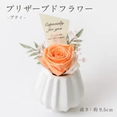 プリザーブドフラワーアレンジ 【プティ バラ(オレンジ)】【1749616】