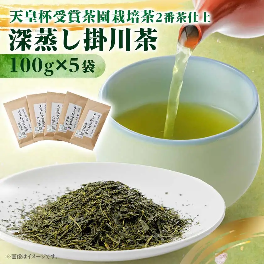 天皇杯受賞茶園栽培茶2番茶仕上　深蒸し掛川茶100g×5袋【配送不可地域：離島・沖縄県】【1749863】