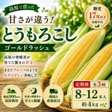 【2週間毎定期便】朝採り出荷　長野県茅野市産　とうもろこし　計約4kg全3回【配送不可地域：離島・北海道・沖縄県】【4088495】