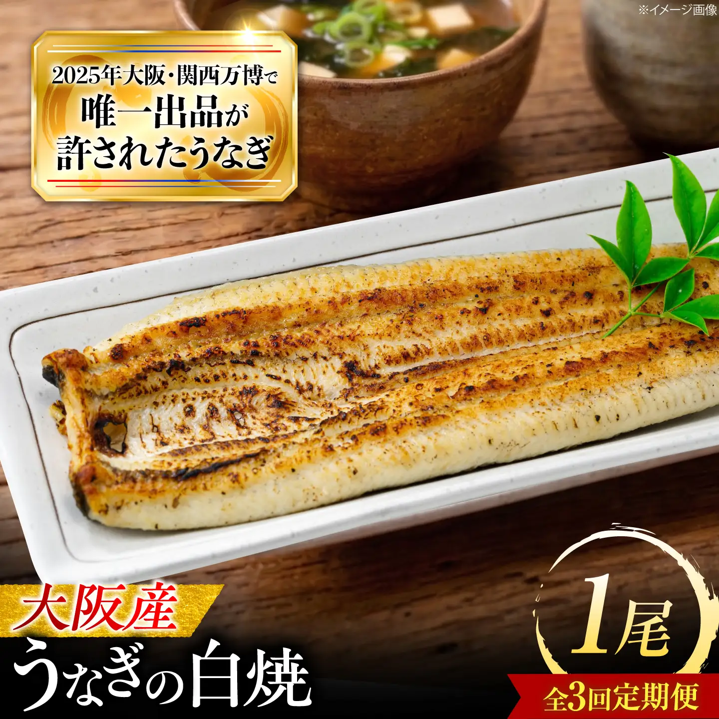 【3回定期便】 鰻 美陵鰻の白焼 1尾 白焼 BLAL023
