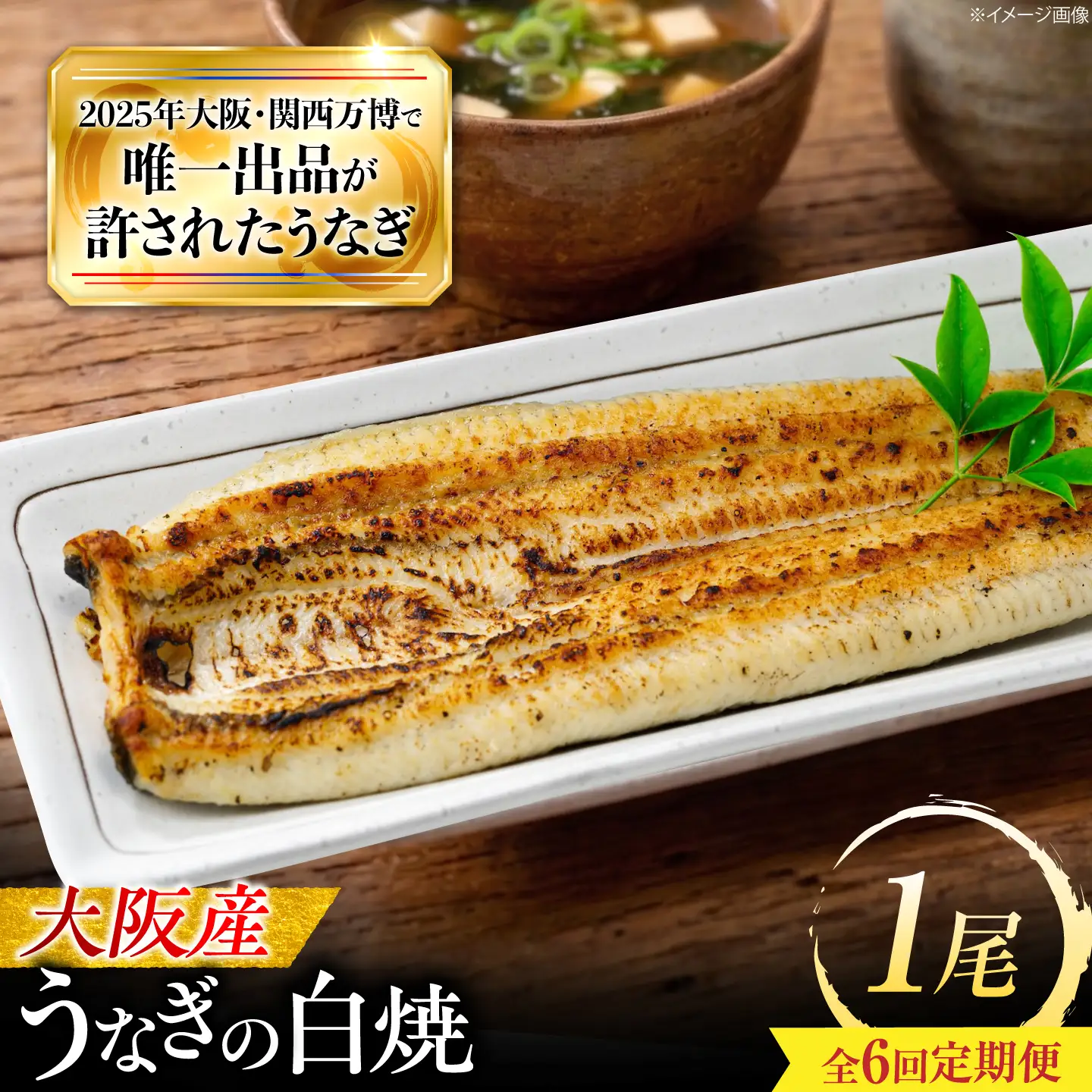 【6回定期便】 鰻 美陵鰻の白焼 1尾 白焼 BLAL024