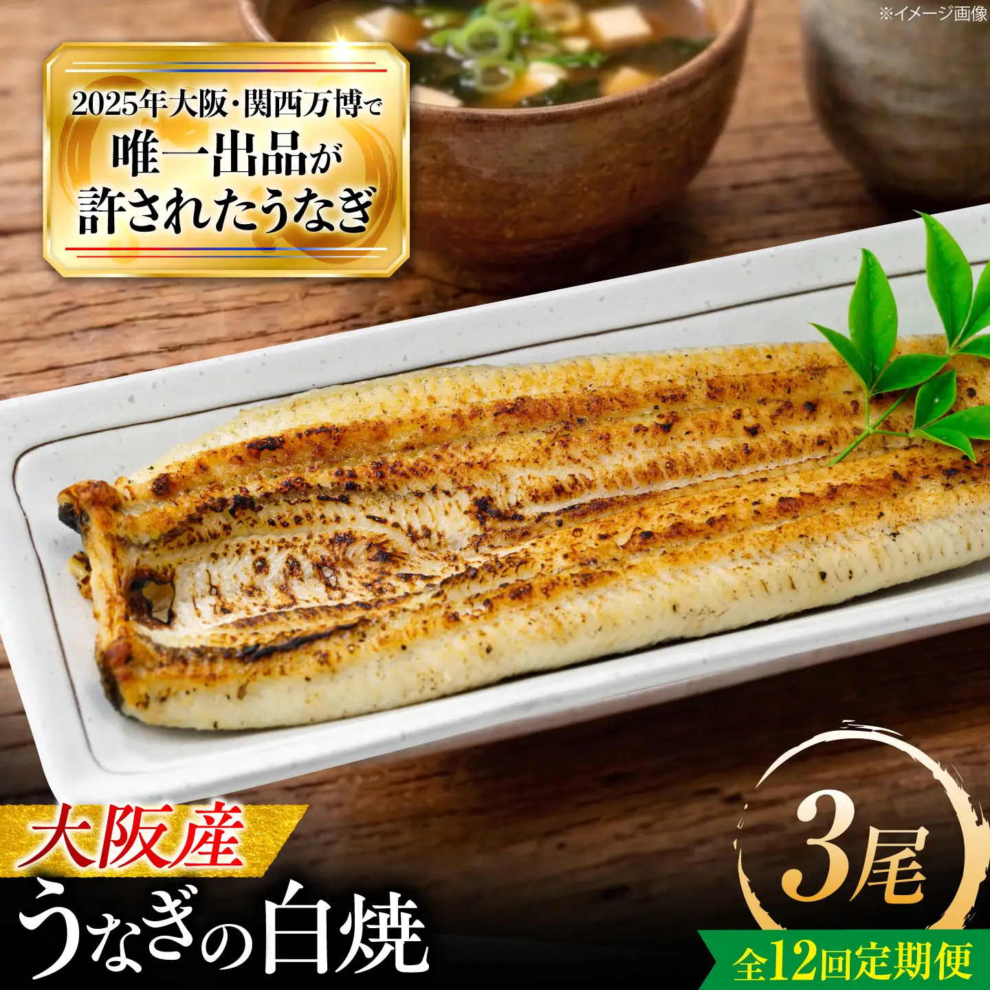 【全12回定期便】 鰻 美陵鰻の白焼 3尾 / 美陵鰻 鰻 うなぎ ウナギ 蒲焼 蒲焼き かば焼き かばやき 白焼き 白焼 肉厚 うな重 うな丼 惣菜 おかず 山椒 国産 スタミナ 土用 丑の日 ギフト / 大阪府藤井寺市/(株)れいわ水産[BLAL033]