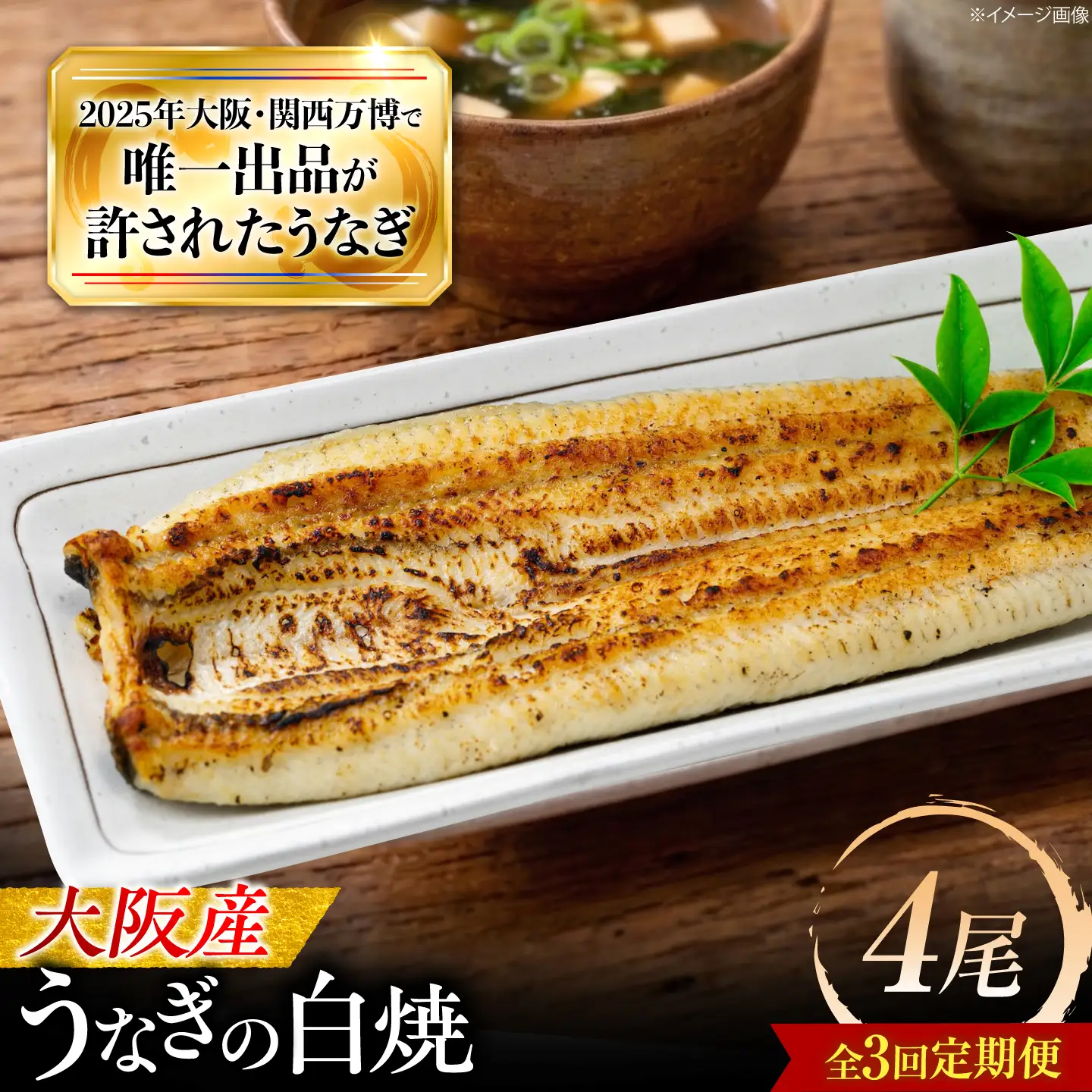 【全3回定期便】 鰻 美陵鰻の白焼 4尾 / 美陵鰻 鰻 うなぎ ウナギ 蒲焼 蒲焼き かば焼き かばやき 白焼き 白焼 肉厚 うな重 うな丼 惣菜 おかず タレ 山椒 国産 スタミナ 土用 丑の日 ギフト / 大阪府藤井寺市/(株)れいわ水産[BLAL035]