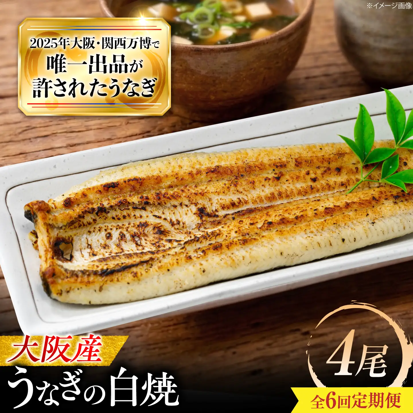 【全6回定期便】 鰻 美陵鰻の白焼 4尾 / 美陵鰻 鰻 うなぎ ウナギ 蒲焼 蒲焼き かば焼き かばやき 白焼き 白焼 肉厚 うな重 うな丼 惣菜 おかず タレ 山椒 国産 スタミナ 土用 丑の日 ギフト / 大阪府藤井寺市/(株)れいわ水産[BLAL036]