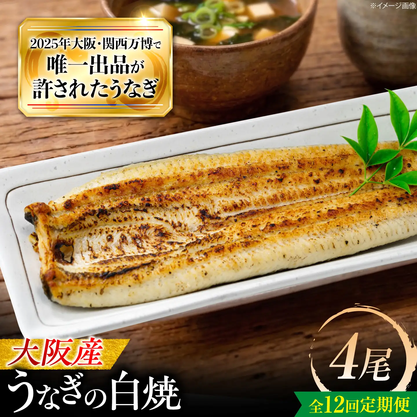 【全12回定期便】 鰻 美陵鰻の白焼 4尾 / 美陵鰻 鰻 うなぎ ウナギ 蒲焼 蒲焼き かば焼き かばやき 白焼き 白焼 肉厚 うな重 うな丼 惣菜 おかず 山椒 国産 スタミナ 土用 丑の日 ギフト / 大阪府藤井寺市/(株)れいわ水産[BLAL037]