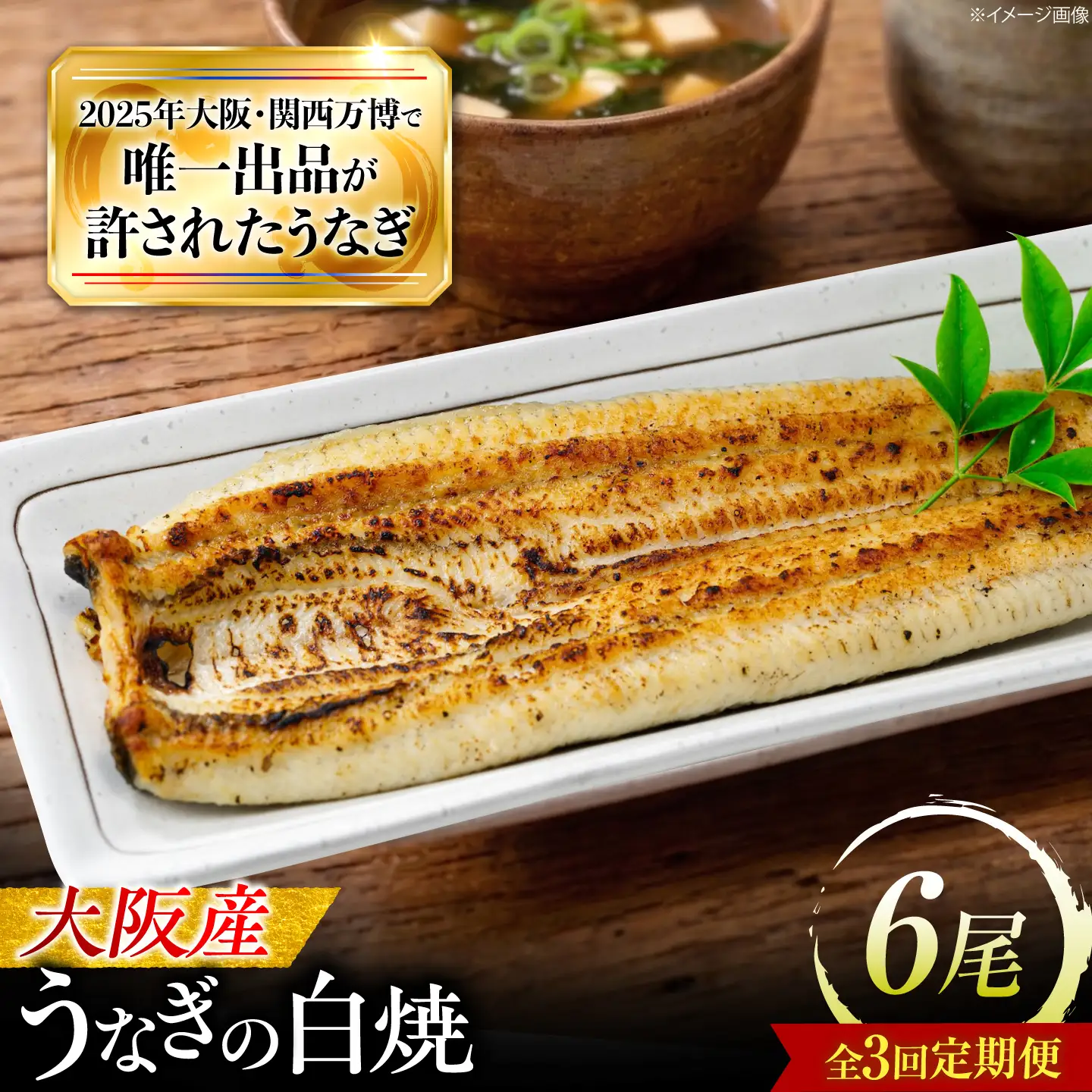 【全3回定期便】 鰻 美陵鰻の白焼 6尾 / 美陵鰻 鰻 うなぎ ウナギ 蒲焼 蒲焼き かば焼き かばやき 白焼き 白焼 肉厚 うな重 うな丼 惣菜 おかず タレ 山椒 国産 スタミナ 土用 丑の日 ギフト / 大阪府藤井寺市/(株)れいわ水産[BLAL039]